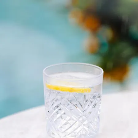 凯悦尼斯地中海宫殿酒店 尼斯